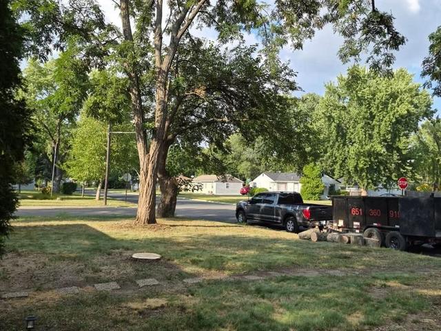 Dead tree in front yard before trimming