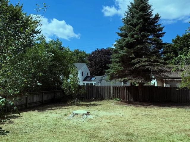 Trimmed shade tree over a backyard patio